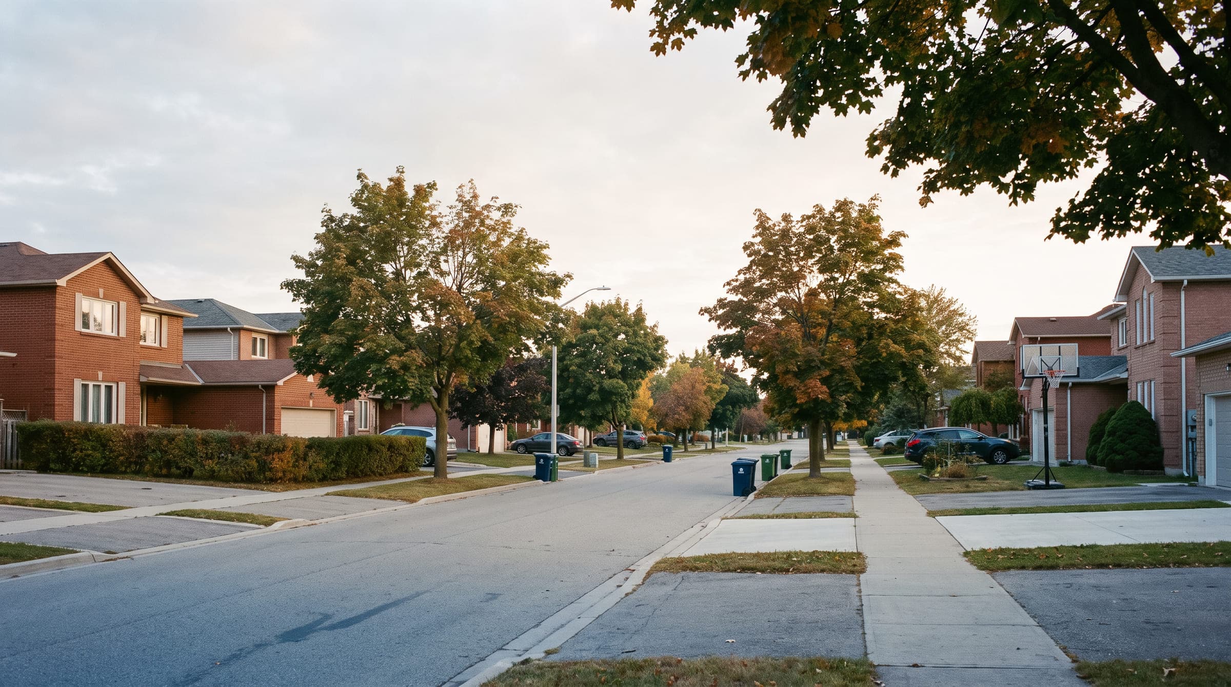 A quiet residential street with mature maples in early autumn